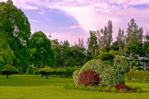 أفضل 4 انشطة في حديقة الزهور في بونشاك اندونيسيا