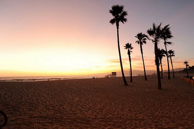 أفضل 5 انشطة في شاطئ فينيسيا لوس انجلوس امريكا