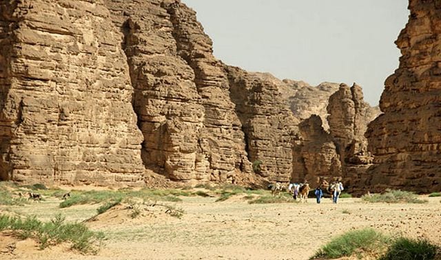 اجمل 5 انشطة في تاجموت بسكرة