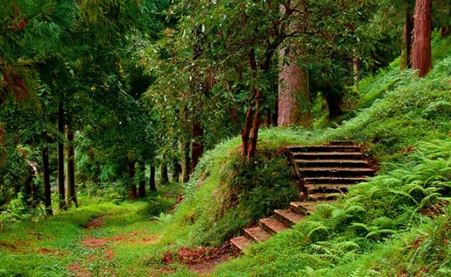 الحديقة النباتية في باتومي من اهم الاماكن السياحية في باتومي جورجيا