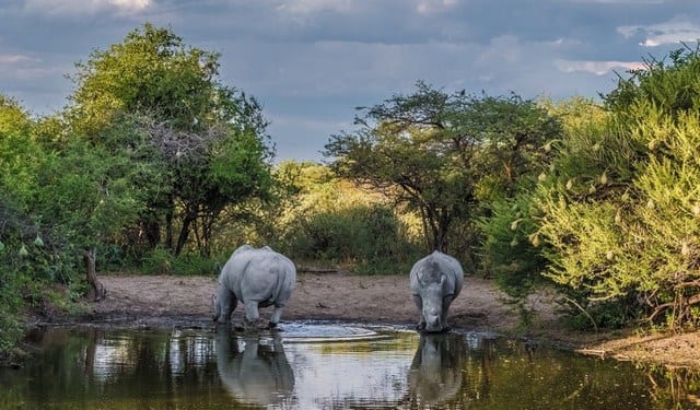 السياحة في بوتسوانا