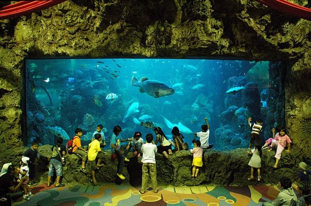 عالم البحار جاكرتا من اهم الاماكن السياحية في جاكرتا