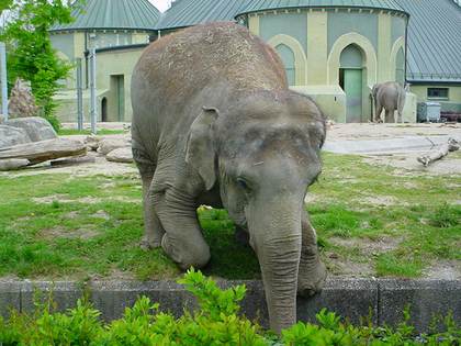 حديقة حيوانات هيلابرون ميونخ ، تعد من اجمل الاماكن السياحية في ميونخ