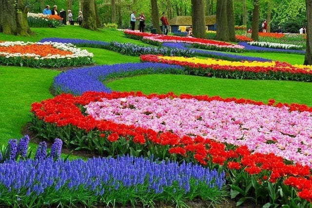 حديقة الزهور في بونشاك