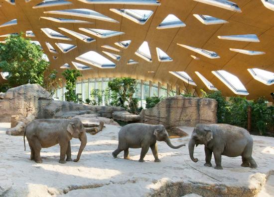 حديقة حيوانات زيورخ من اهم الاماكن السياحية في زيورخ