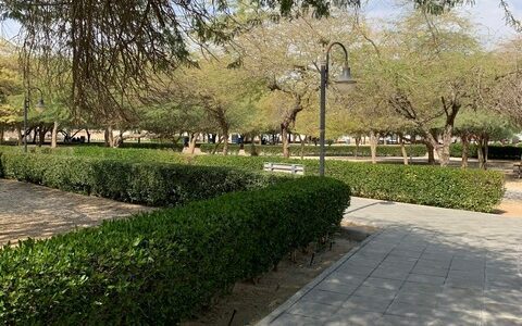 حديقة محمد بن القاسم الرياض