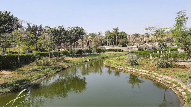أفضل 3 أنشطة توفّرها لك حديقة سفاري بارك القاهرة