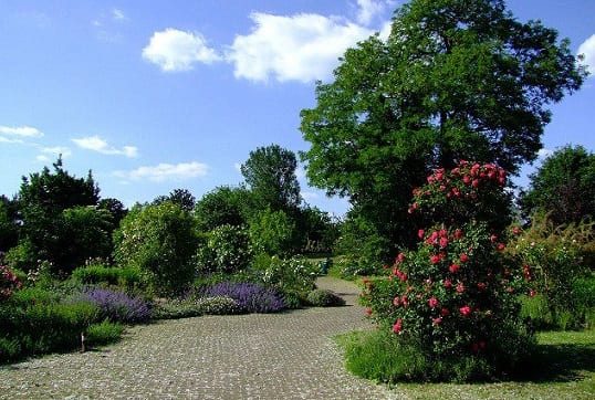 حديقة دوسلدورف النباتية من أفضل الاماكن السياحية في مدينة دوسلدورف