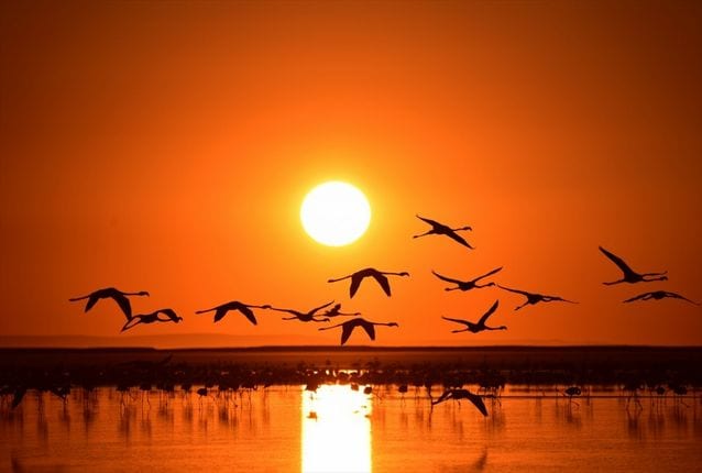 جنة الطيور من اجمل الاماكن السياحية في ازمير التركية