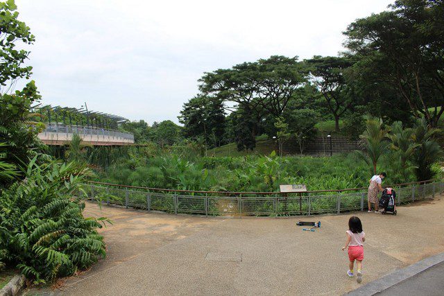حديقة الاميرالية سنغافورة