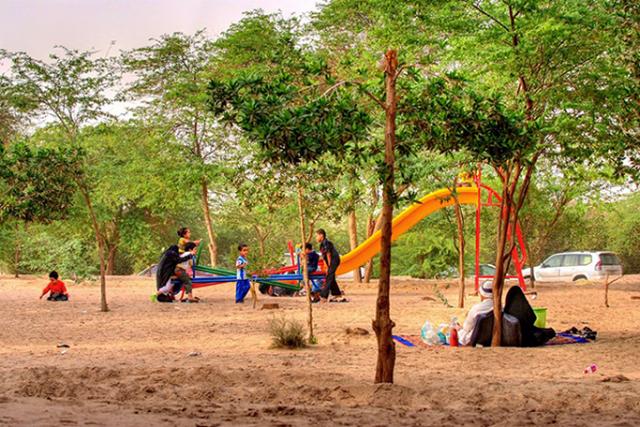 منتزه الاحساء السعودية