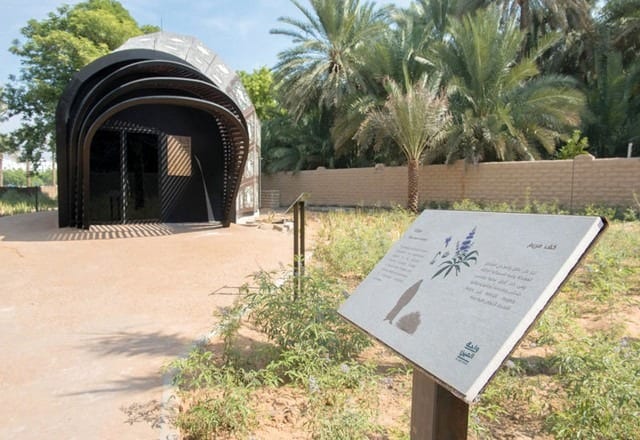 واحة العين الامارات