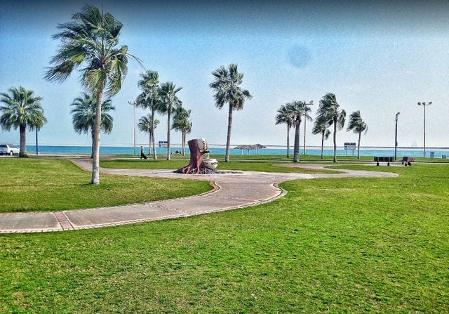 شاطئ النخيل في الجبيل بالسعودية