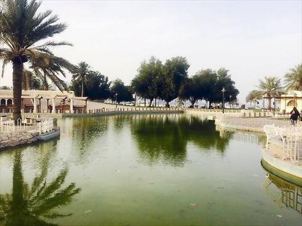 حديقة البدع بقطر