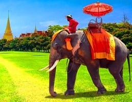 اجمل 6 الاماكن السياحية في  بانكوك للاطفال تستحق الزيارة