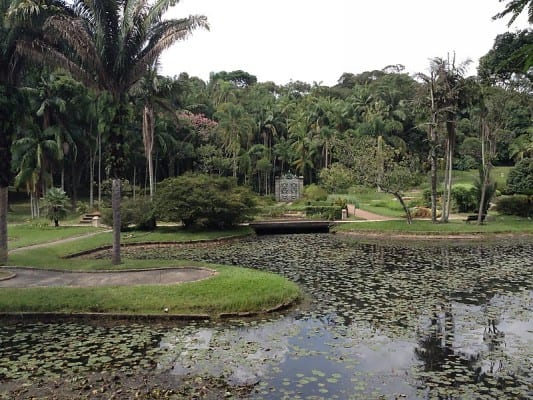 حديقة ساو باولو النباتية من أفضل الاماكن السياحية في ساو باولو البرازيلية