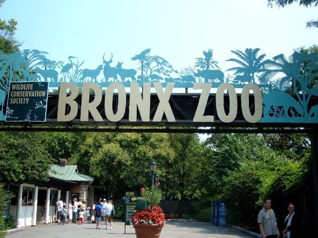 أفضل 5 أنشطة في حديقة حيوانات برونكس نيويورك امريكا