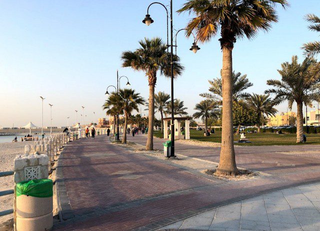 مسارات المشي الموجودة في الحديقة