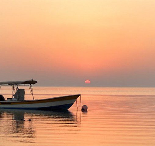 حديقة ومنتزه البديع
