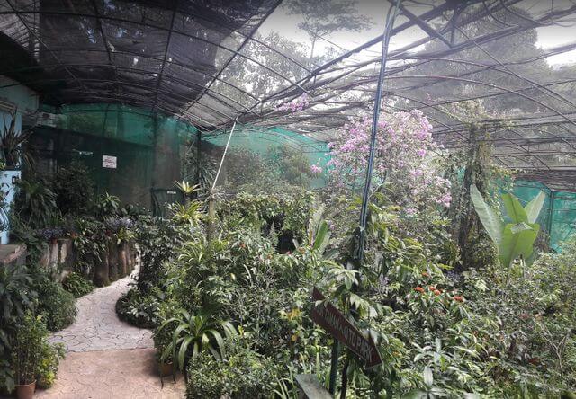 حديقة الفراشات في كوالالمبور بماليزيا