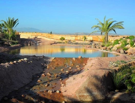 مشهد لحديقة التماسيح في أغادير