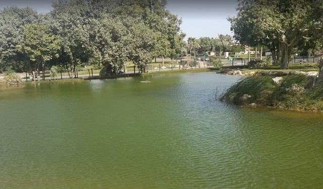 أفضل 7 انشطة في منتزة تلال الظهران