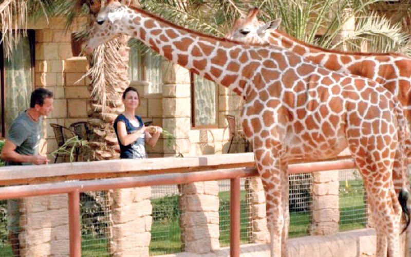 اجمل 7 انشطة في حديقة الحيوانات ابوظبي الامارات