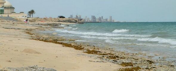 أنشطة لا تفوّت يمكنك القيام بها لدى زيارة شاطئ انجفه الكويت