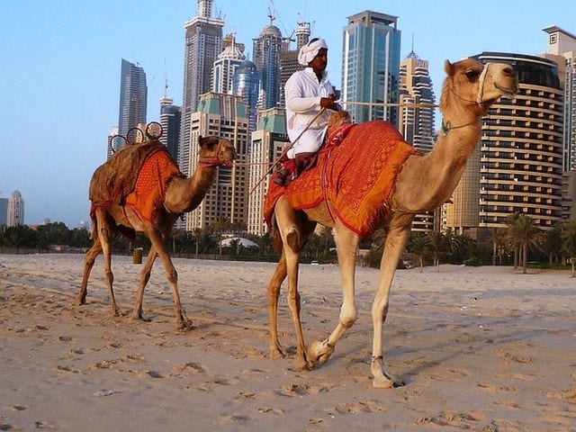 الاماكن السياحية في دبي للعوائل