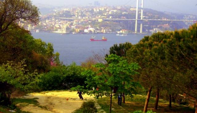 تُظلل الأشجار الغابة في منتزه فتحي باشا اسكودار اسطنبول لتُخرج منظر رائع