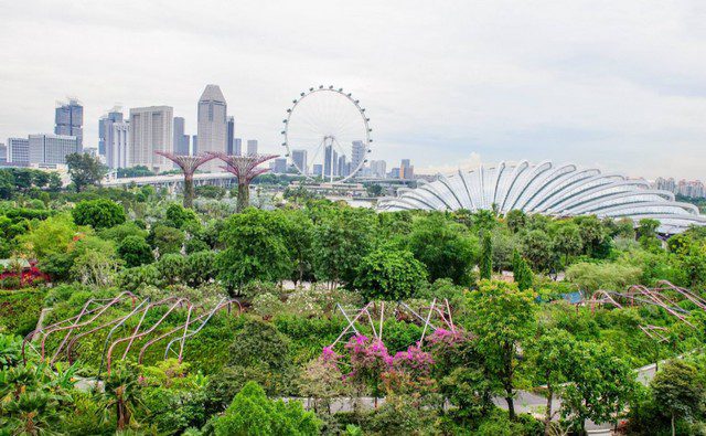 اجمل 10 من حدائق سنغافورة ننصح بزيارتها