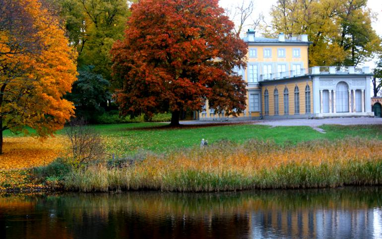 أفضل 8 أنشطة في منتزه هاجا ستوكهولم السويد