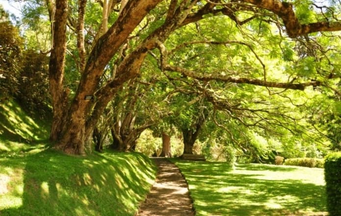 حديقة هاكغالا النباتية من اشهر الاماكن في نوراليا سياحة