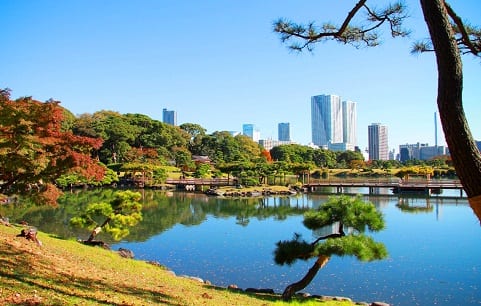 مشهد لحدائق هاماريكيو في طوكيو سياحة