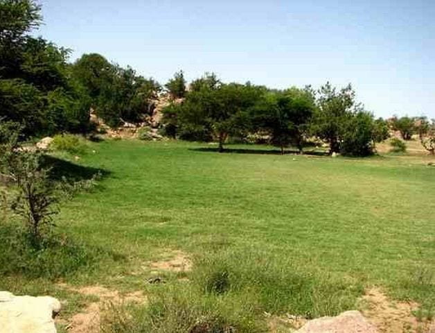 أفضل 7 انشطة في منتزه المراث بخميس مشيط