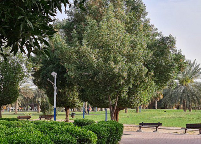 حديقة الجابرية العامة