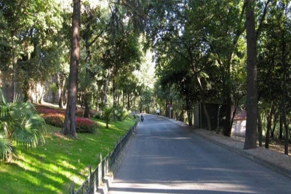 حدائق بمدينة جدة