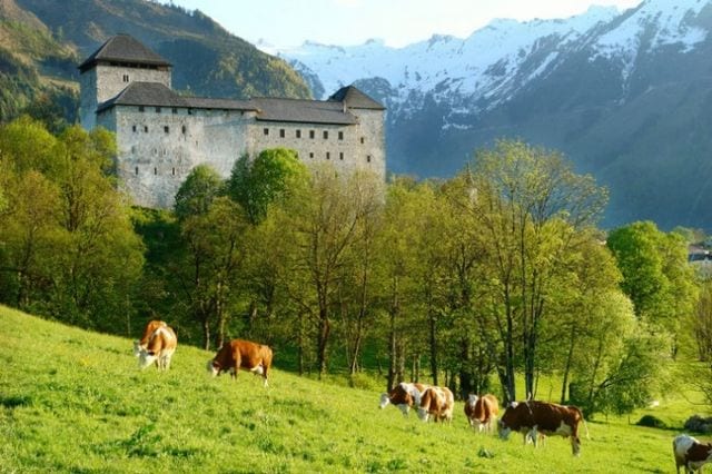 أفضل 6 انشطة في قلعة كابرون النمسا