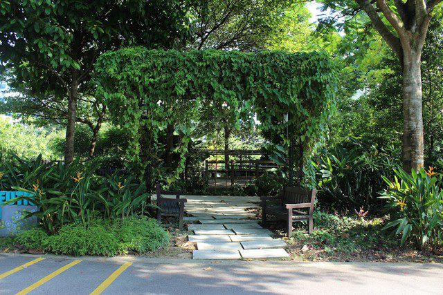 حديقة كينت ريدج سنغافورة