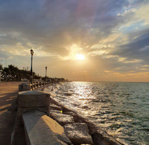 حديقة ومنتزه الملك عبدالله