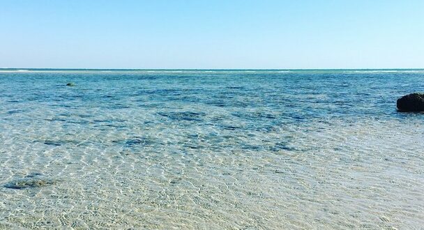 أنشطة لا تفوّت يمكنك القيام بها لدى زيارة شاطئ المهبولة الكويت