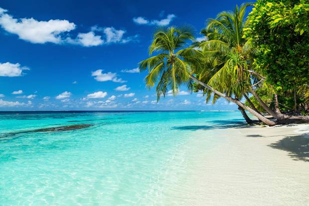 Maldives Beaches 1 1 - أفضل 6 من شواطئ المالديف التي ننصحكك بزيارتها