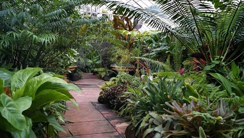 الحدائق النباتية الملكية من أفضل الاماكن السياحية في ملبورن