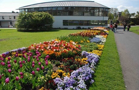 مطعم حدائق النباتات الوطنية في دبلن