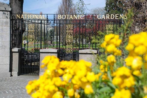 بوابة حدائق النباتات الوطنية في دبلن