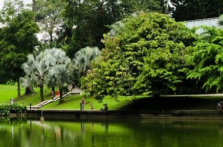 البحيرة في حدائق النباتات الوطنية في دبلن