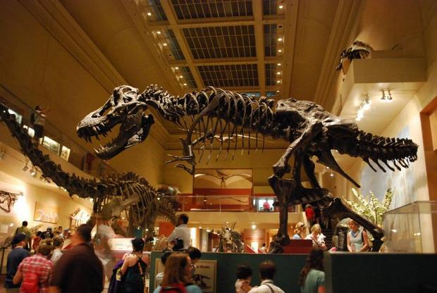 المتحف الوطني للتاريخ الطبيعي في واشنطن
