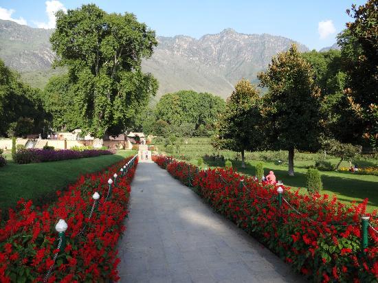 حديقة نيشات باغ في وادي كشمير