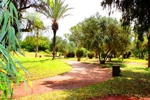 أفضل 5 أنشطة في حديقة أولهاو في أغادير المغرب