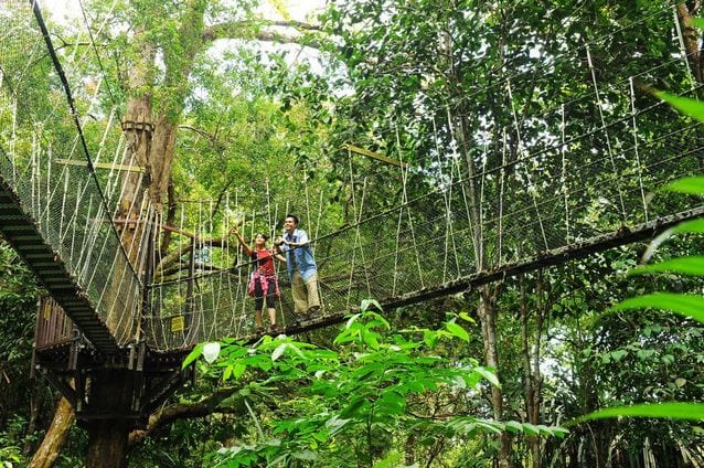 Penang National Park